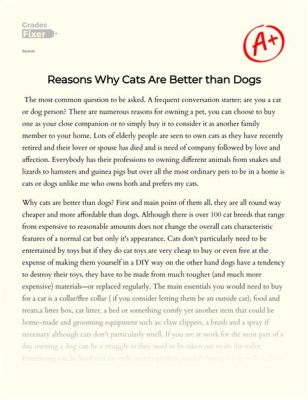 Why Are Dogs Better Than Cats: An Insightful Essay with Multiple Perspectives